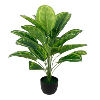 China Real Touch Environmentally Friendly Artificial Plant 60cm 18 Decorative Leaves Peacock Tree Bonsai Hot Sales Plants For Indoor Landscape for sale