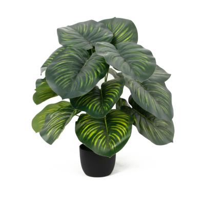 China Real Touch Environmentally Friendly Artificial Plant 50cm 18 Decorative Leaves Apple Green Bonsai Hot Sales Plants For Indoor Landscape for sale