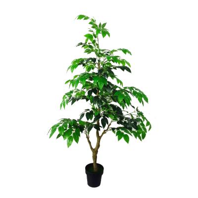 China Environmental friendly hot sales simulation tree 180CM 11 branches Radermachera sinica artificial tree for decoration indoor outdoor for sale