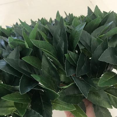 China 500&500&100MM High Quality Environmental Friendly Artificial Plant Laurel Tea Leaf Wall For Decoration for sale