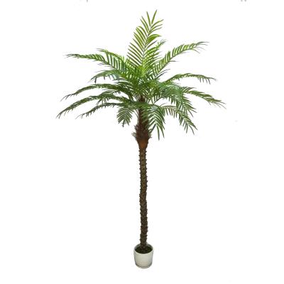 China Excellent Quality Environment Friendly Real Touch Artificial Plants Simulation Plants King Palm Tree for sale