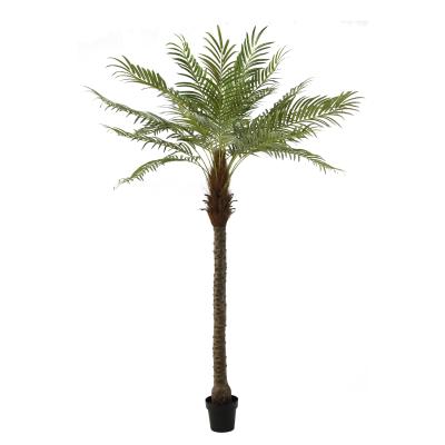 China High Quality Environmentally Friendly Excellent Real Touch Artificial Plant Simulation Plants 230 Cm 21 Leaf King Palm Tree for sale