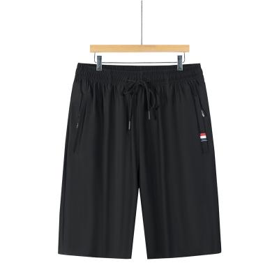 China Kühle gesponnene Mann-Mesh Shorts Anti-Static Teenager Summer-Sport-kurze Hosen zu verkaufen