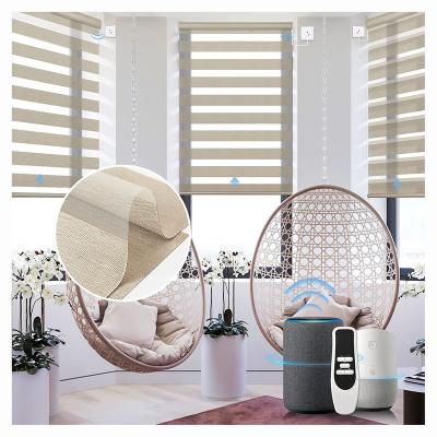 China Google Drive Window Shade Contemporary Cordless Motorized Roller Double Blind Automatic Motor Zebra Smart Shades for sale