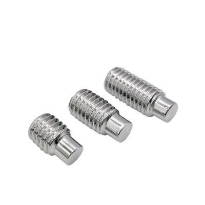 China No Main SUS 304 Stainless Steel SS 316 316L Brass Angled Dog Point Hex Socket Set Screw Worm Worm Screw for sale