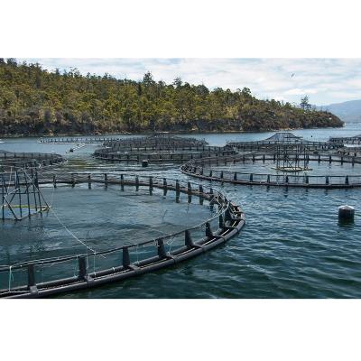 China Floating Fish Aquaculture HDPE Bracket For Fish Cage for sale