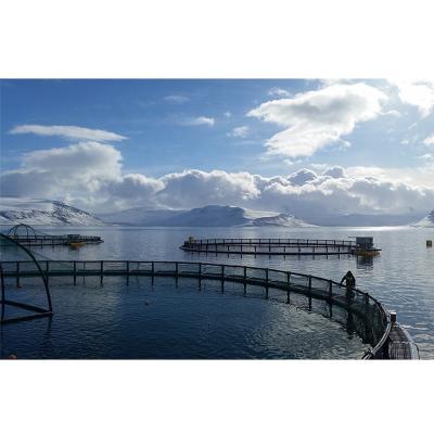 China Fish HDPE Ccean Based Farms 40 Meter Fish Farm Cage for sale