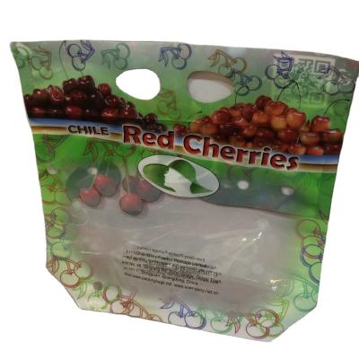 China Transparent Biodegradable Fruit Vegetables Food Custom Fresh Plastic Valve Zipper Lock Packaging Bag for sale