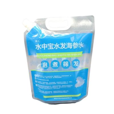 China Hot Selling Top Quality Barrier Custom Rack Beverage Bags With Spout for sale