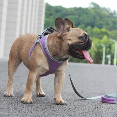 China Low MOQ Padded OEM Harness Reflective Comfortable Material Fashion From Great Supply For Dogs And Cats for sale