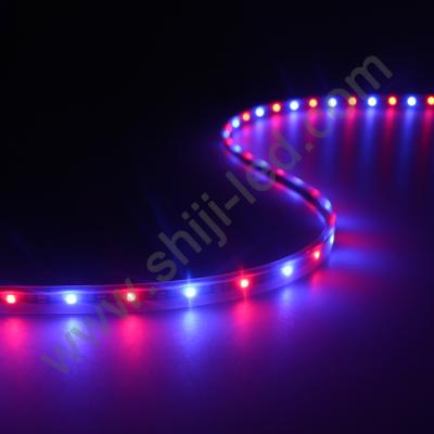 China LANDSCAPE Commercial insurance 4mm width PCB sk6805 2427 SMD digital measuring led strip RGB led pixel strip for sale