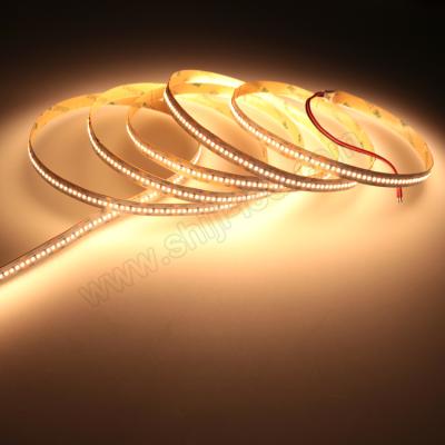 China LANDSCAPE 300Leds/m High CRI 90-97 dotless led strip 24V SMD2216 led flexible strip for sale