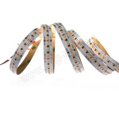 China High CRI 90 SMD 2216 300leds/M 18W 12V 24V Single Color 2700K~6500K Desktop Led Strip Light 5M for sale