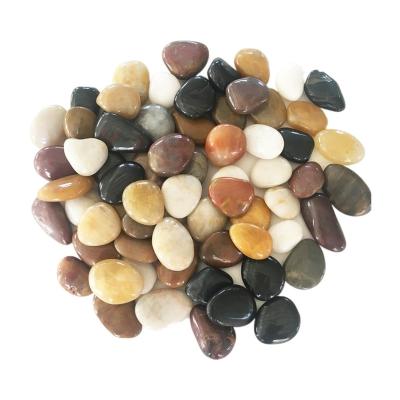 China Sustainable Aquarium Decoration Natural Pebbles Aquarium Landscaping Decoration Pebbles for sale