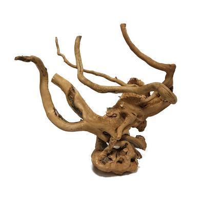 China Sustainable Aquarium Fish Tank Landscaping Driftwood Decoration Rhododendron Root for sale