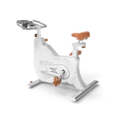 China Sporting Goods 120KG Fitness Exercise Bike Tension Control Spinning Indoor Bike for sale