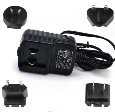 China Interchangeable cctv power supply 12v 22V 1.1A, DC to AC 22V power adapter, 24W DC power supply for LED for sale