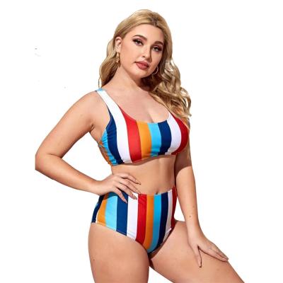 China New large size plus size bikini split swimsuit female striped print plus fat swimsuit women XL-XXXL 4XL for sale