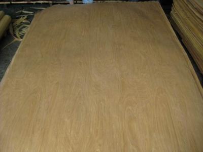 China Rotary Cut Natural Birch Wood Veneer Sheet for sale