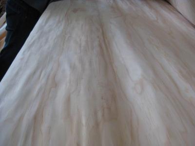 China Rotary Cut Natural Radiata Pine Wood Veneer Sheet for sale