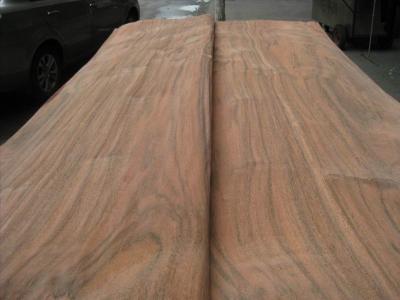 China Rotary Cut Natural Dillenia Wood Veneer Sheet for sale