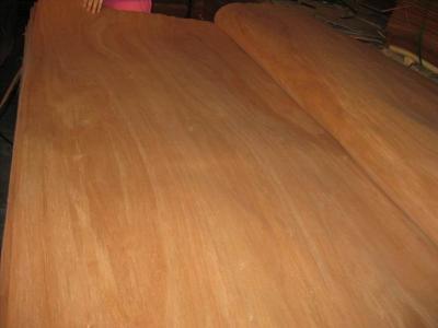 China Rotary Cut Red Canarium Wood Veneer Sheet, Face/Back Grade for sale