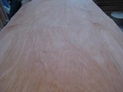 China Rotary Cut Natural Red Cedar / PLB Wood Veneer Sheet for sale