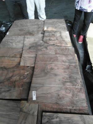 China American Walnut Burl Wood Veneer For Top Grade Furniture Decoration for sale