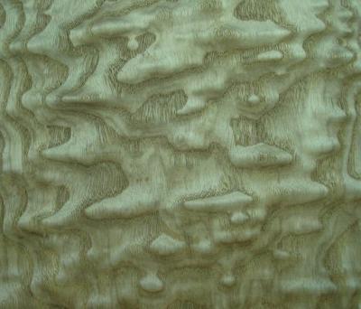 China Tamo Ash Burl Sliced Veneer For Interior Decoration, Natural Wood Veneer Sheet for sale