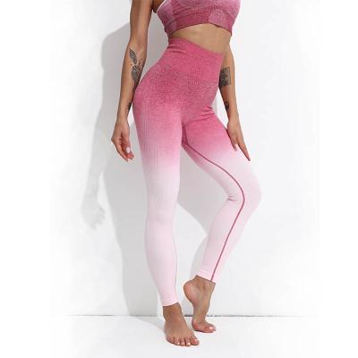 China XS-XL 7 Colors High Waist Fitness Anti-Static Seamless Women's Nylon Gaiters Lift Up Ombre Yoga Gaiters for sale