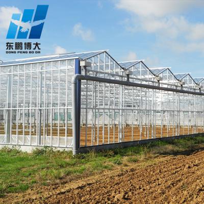 China Easily Assembled Mini Glass Invernadero Agriculture Greenhouse for sale