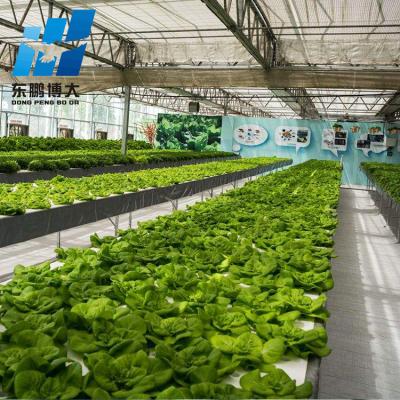 China Stable Structure 30 x 100 Commercial Dome Greenhouse for sale