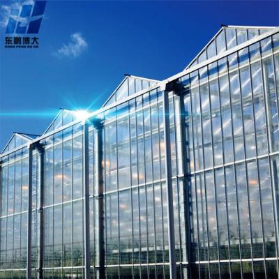 China Agricultural Low Cost Easily Assembled Glass Greenhouse for sale