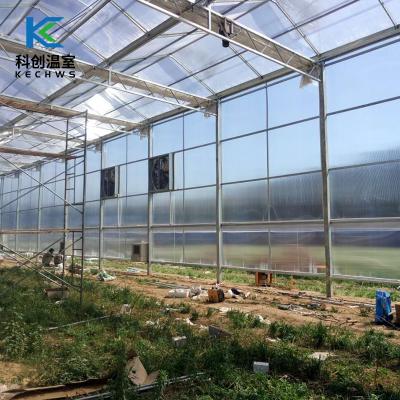 China 2021 Eco Friendly Wholesale High Quality Hydroponic Systems Tunnel PC Sun Panel Agriculture Sunlight Shed Greenhouse for sale