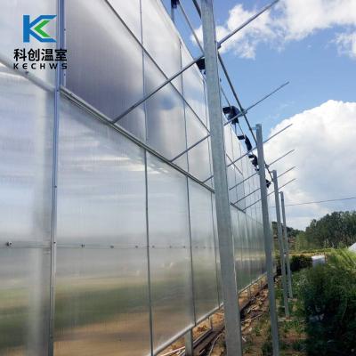 China Low Price Eco Friendly High Quality Film Energy Saving Solar Greenhouse for sale