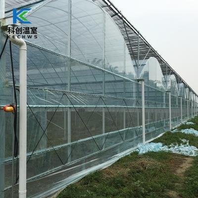 China Reasonable Price Multi-span Plastic Film Greenhouse Eco Friendly High Quality Potato for sale