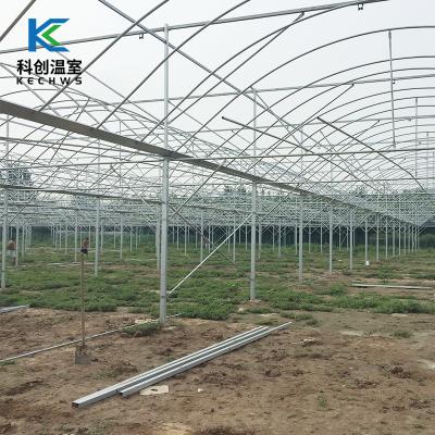 China 2021 Vegetable Multi-span Eco Friendly Hot Selling Agricultural Commercial Green House for sale