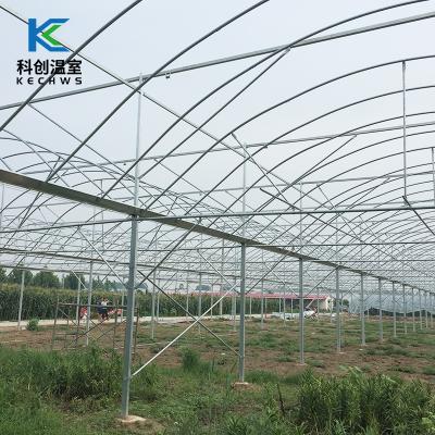 China Eco Friendly Cheapest And Easily Installed Sunlight Greenhouse Film Multi-span Solar Greenhouse for sale