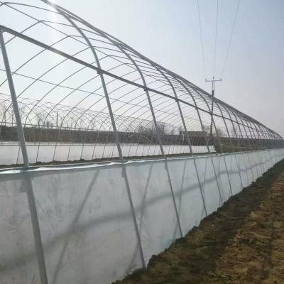 China Eco-Friendly Cheap UV Treated Plastic Sheet For Seedlings Vegetables Flowers High Temperature Steel Steel Greenhouse/Garden Greenhouse for sale