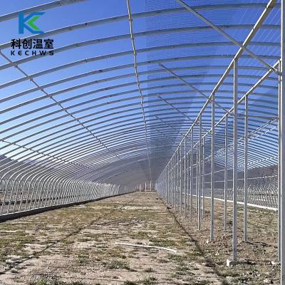 China Custom Hydroponic Energy Plant Eco Friendly New Design For Vegetable Winter Warm Greenhouse for sale