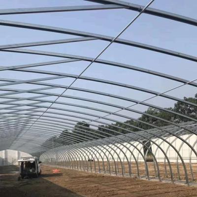 China Hydroponics Power Steel Frame Eco Friendly Hot Selling High Temperature Greenhouse for sale