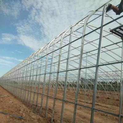 China Multi-span Eco Friendly Wholesale Hydroponic Energy Saving Warm Solar Winter Greenhouse for sale