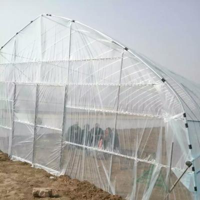 China Eco Friendly Hot Sale Hydroponic Energy Saving Steel Frame Solar High Temperature Greenhouse for sale