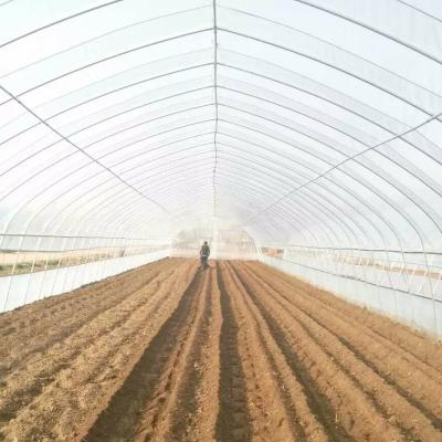 China Eco Friendly Wholesale Hydroponic High Temperature Steel Frame Greenhouse for sale