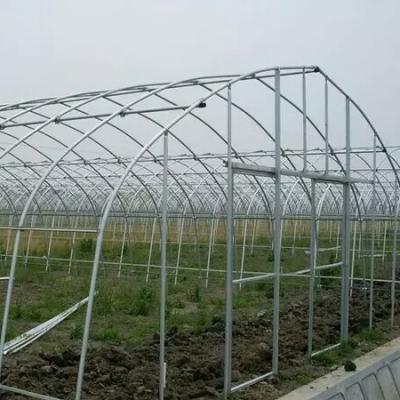 China Eco Friendly Hot Selling Hydroponic Growing Systems For Agricultural Winter Steel Frame High Temperature Greenhouse for sale