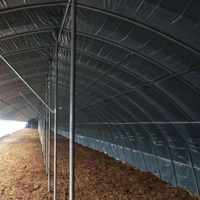 China Low Cost Eco Friendly Hot Selling Winter Steel Frame High Temperature Greenhouse for sale