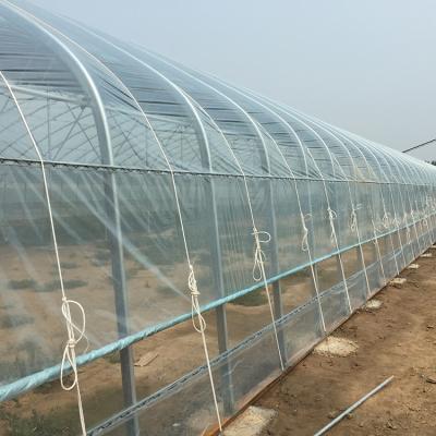 China Low Cost High Tunnel Mill Greenhouse Steel Frame Plastic Sheet Greenhouse Eco Friendly for sale