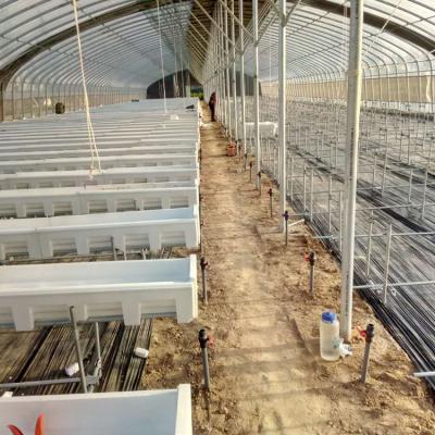 China Eco Friendly High Best Price High Quality Tunnel Tomato Greenhouse Steel Frame Greenhouse For Home for sale