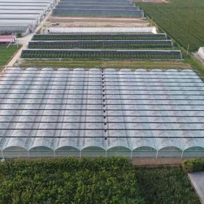 China Eco-Friendly Sale High Quality Multi-span Large Tunnel Passive Solar Chinese Greenhouse Agriculture for sale