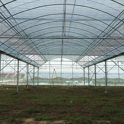 China Eco Friendly High Quality Multi-span Agricultural Film Greenhouse Best Price Plastic Greenhouse for sale